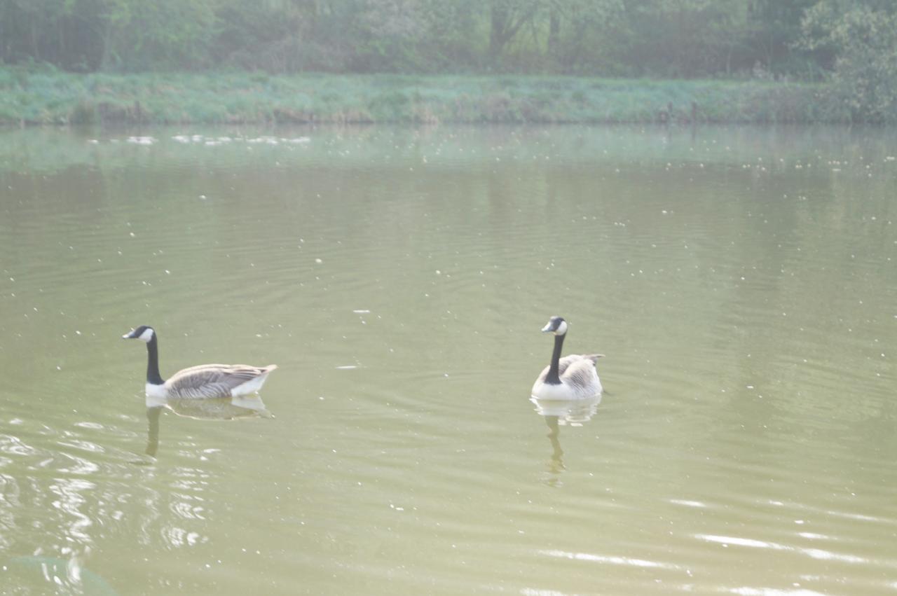 12.04.2014 DES VISITEUSES DES LE MATIN